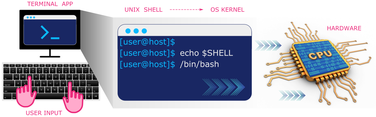 Terminal-Shell-Kernel