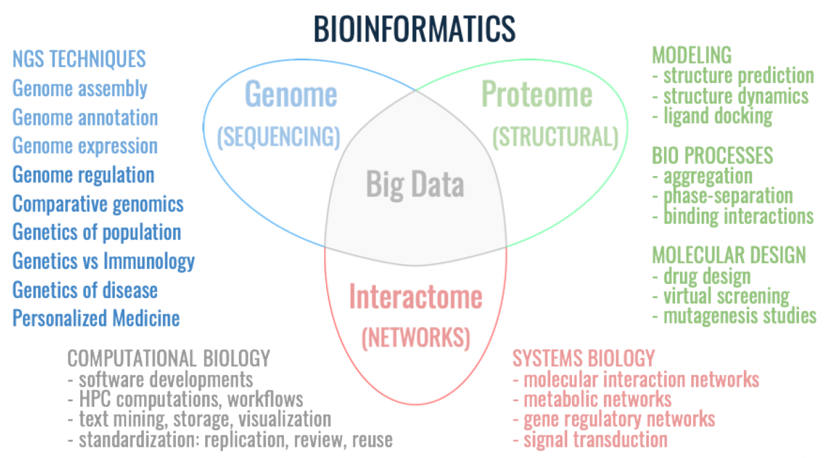 Bioinformatics