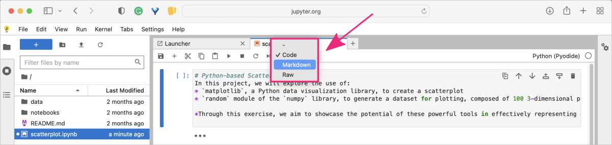 02_python-jupyter-try-notebook-cell.png