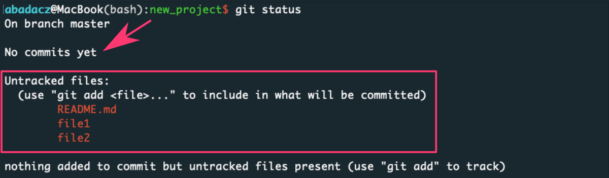 01-git_status_untracked.png